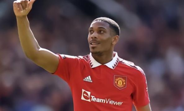 但波士顿可 但波士顿可